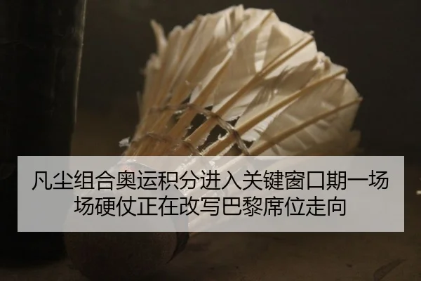 凡尘组合奥运积分进入关键窗口期一场场硬仗正在改写巴黎席位走向